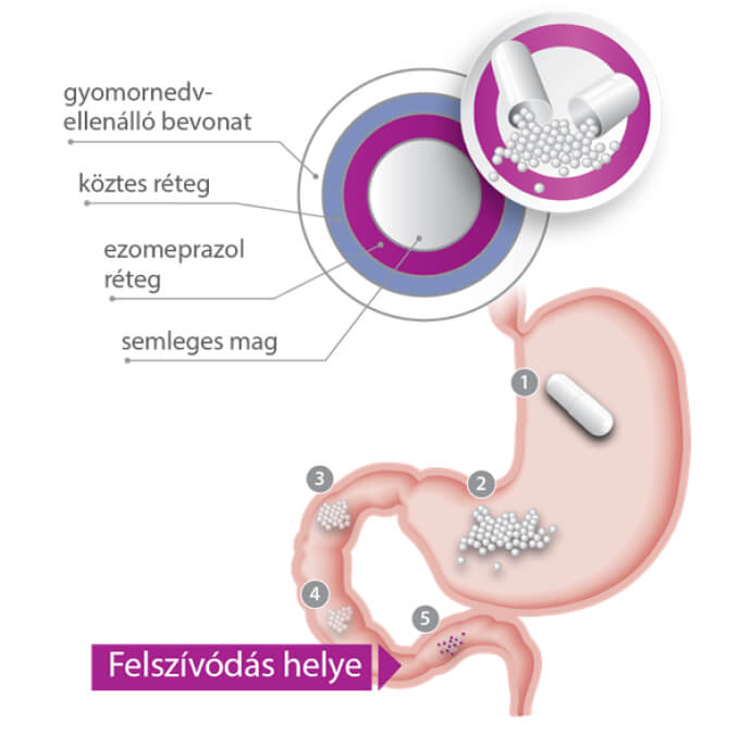 Egyedülálló szabadalmaztatot pellet technológia