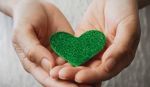 2016 Krka's Week of Charity and Volunteering