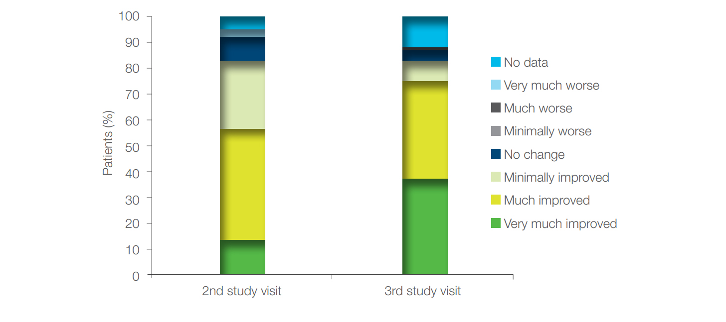 Figure 4. Clinical efficacy (CGI-I) at the second and the third visit