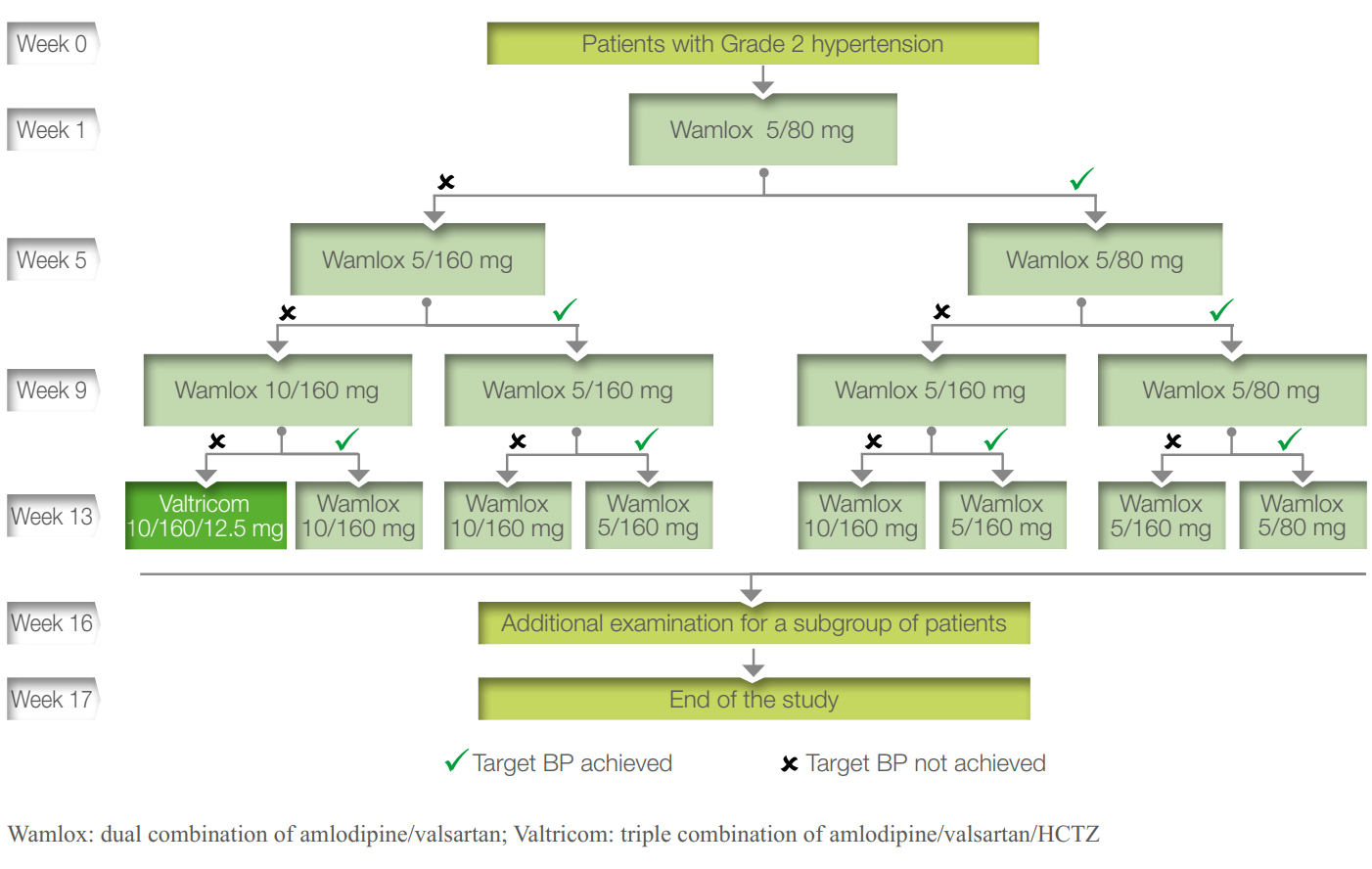 Figure 1: Trial treatment flow chart for the patients with grade 2 hypertension.