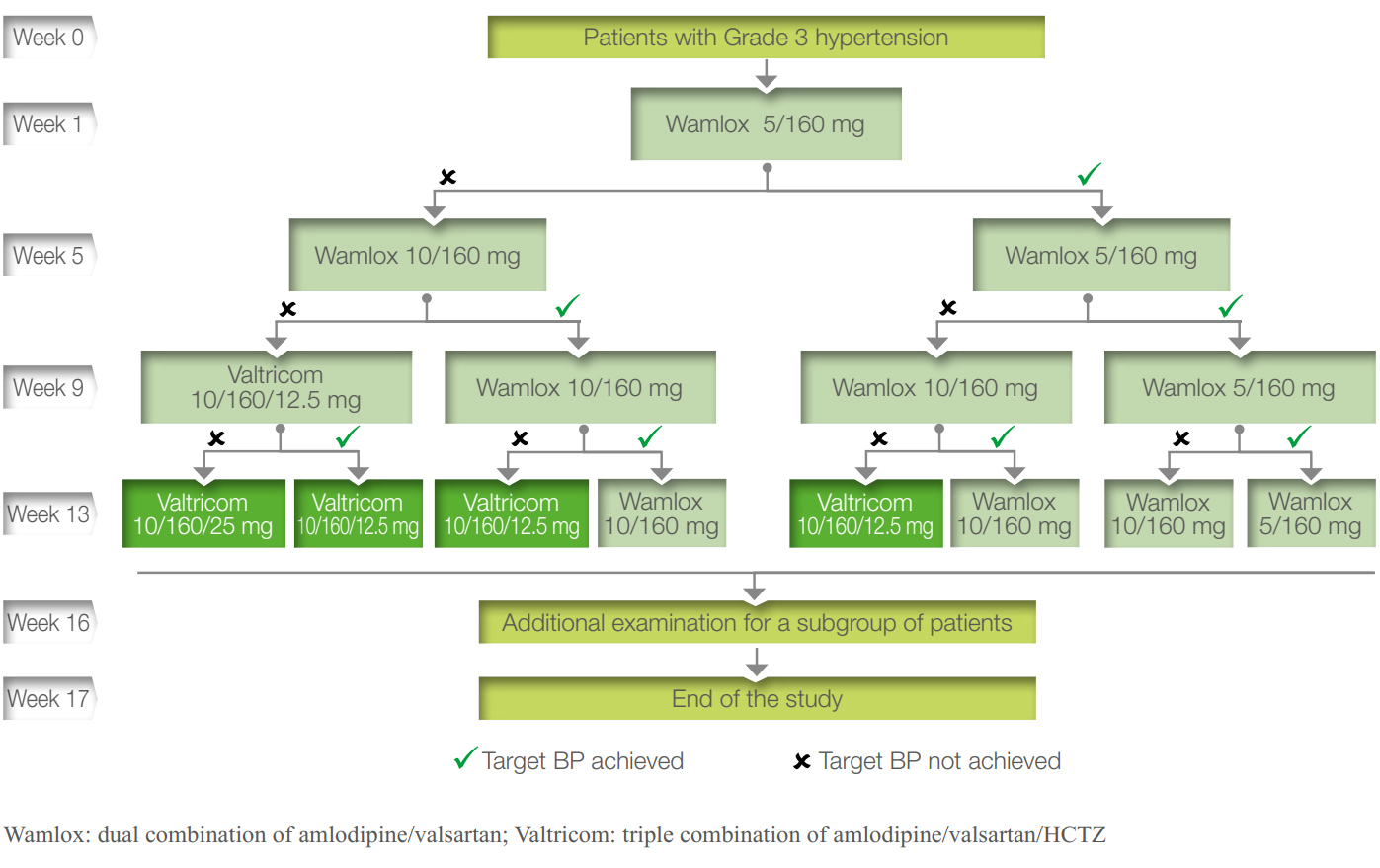 Figure 2: Trial treatment flow chart for the patients with grade 3 hypertension.