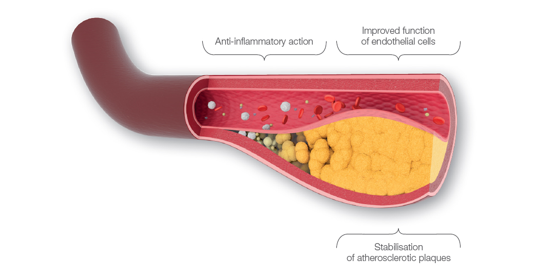 Figure 2. Pleiotropic effect of statins
