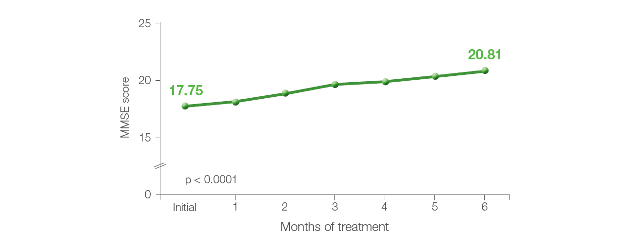 Figure 1. MMSE score before the treatment and after each month of the treatment