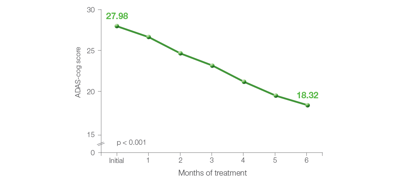 Figure 5. ADAS-cog score before the treatment and after each month of the treatment