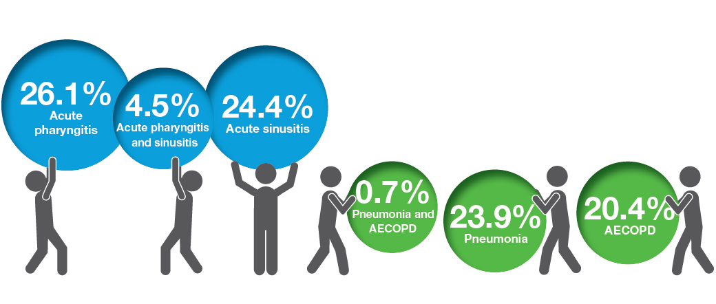 Figure 2. Percentage of patients with individual indications