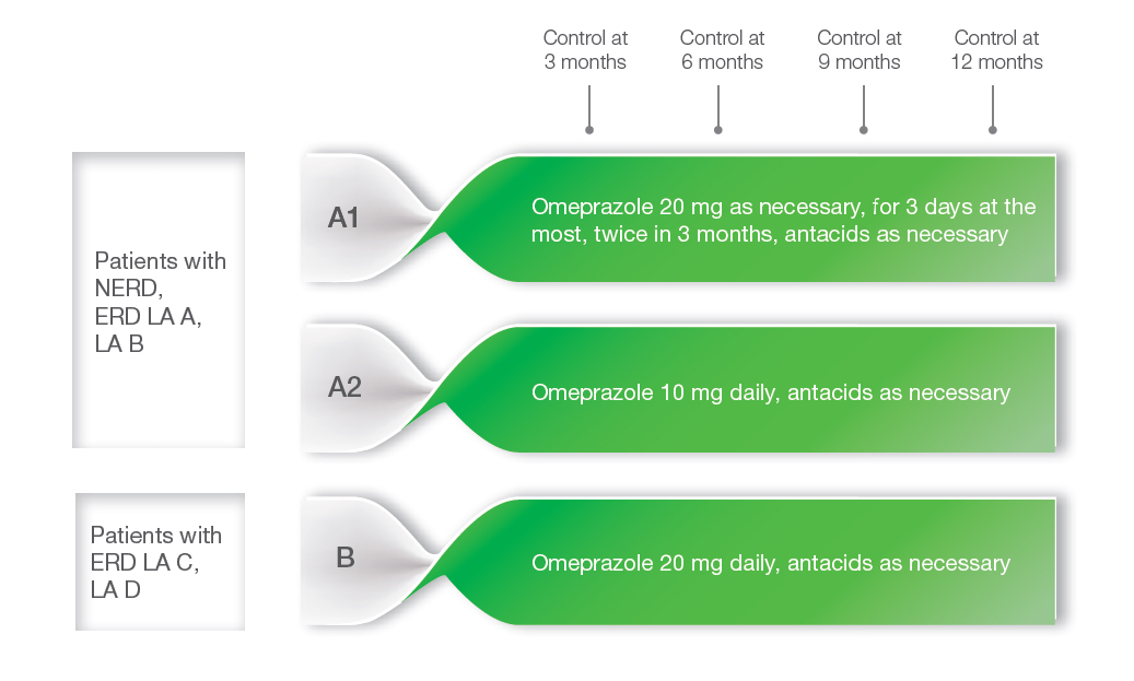 Figure 1. Chart of patient allocation to groups and 12-month follow-up protocol