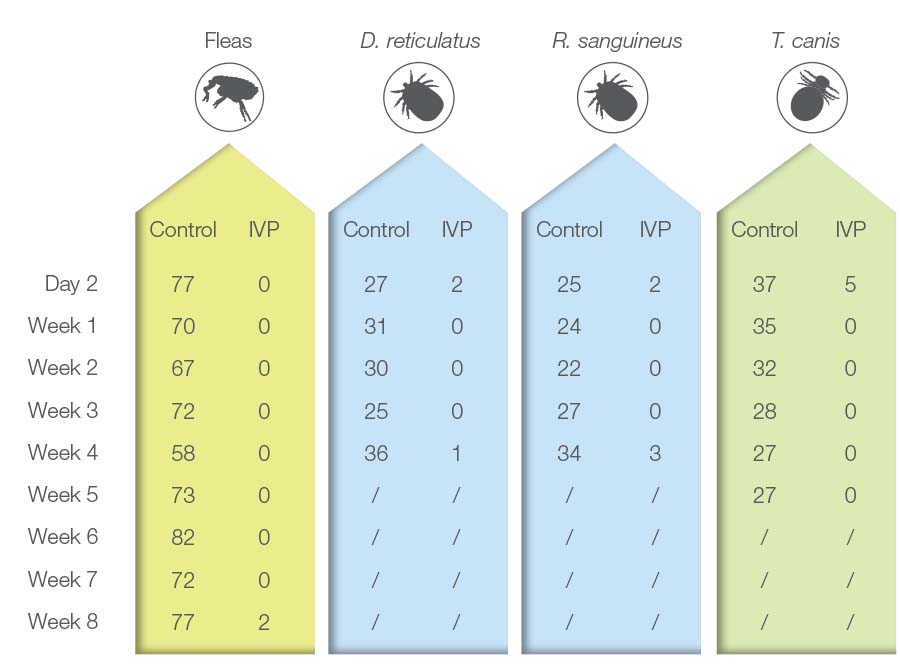 Table 3. The efficacy (presented as geometric mean of parasite count) of Krka's fipronil spot-on against fleas, ticks (<em>D. reticulatus</em> and <em>R. sanguineus</em>) and lice (<em>T. canis</em>) on dogs