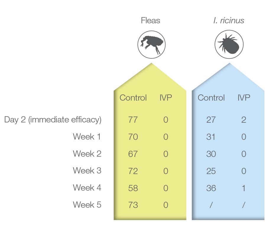 Table 5. The efficacy (presented as geometric mean of parasite count) of Krka's fipronil spot-on against fleas and tick (<em>I. ricinus</em>) on cats